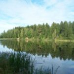 Dubysos regioninio parko nuotr.