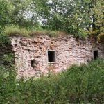 Skarulių dvaro pastato griuvėsiai. heritage.lt nuotr.
