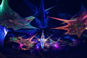 „Goodlife photography“ nuotr..: festivalio atidarymas.