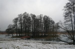 Meilės sala. Ne vienas Ropų giminės atstovas savo išrinktajai piršosi būtent čia. 