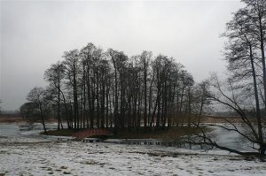 Meilės sala. Ne vienas Ropų giminės atstovas savo išrinktajai piršosi būtent čia. 