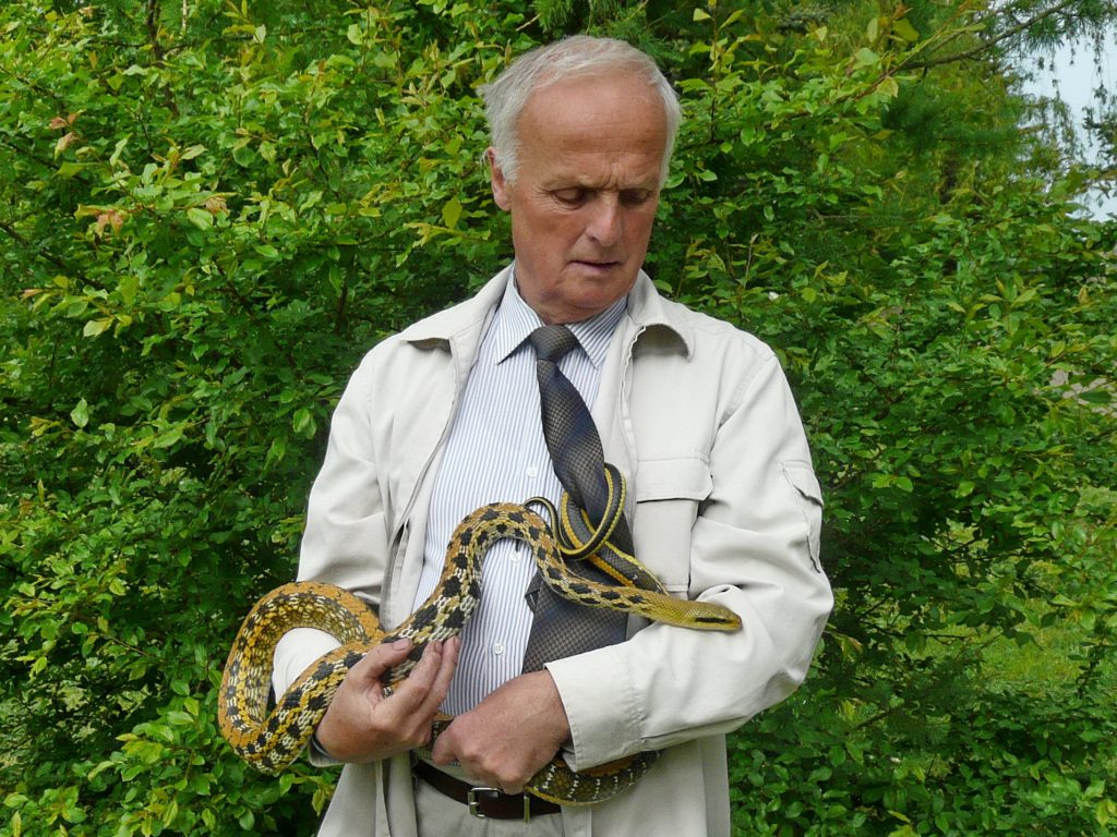 Reginos Slučkienės nuotr.