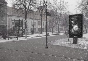 Muzikas Donatas Katkus / Foto Algimanto Aleksandravičiaus nuotr.