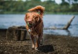 Unsplash nuotr.