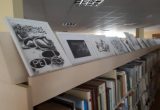 Raimondo Franckevičiaus paroda