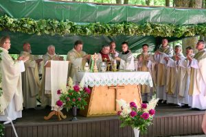 Šv. Mišių koncelebracijai vadovauja Vilkaviškio vyskupas Rimantas Norvila (centre) / Vido Venslovaičio nuotr.