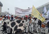 Klaipėdos rajono ūkininkai proteste