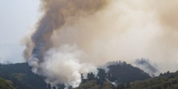 Miško gaisras Tenerifėje jau apėmė 10 000 hektarų plotą / EPA-ELTA nuotr.