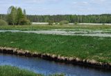 Nusausinta žemapelkė, kurią buvo mėginama paversti kultūrine pieva / D. Matulevičiūtės nuotr.