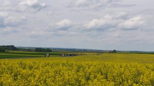 Birutės Nenėnienės nuotr.