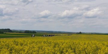 Birutės Nenėnienės nuotr.