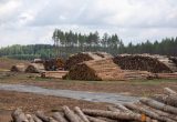 Vystomos karinės infrastruktūros Lietuvoje pristatymas Rūdninkuose. ELTA / Julius Kalinskas