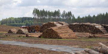 Vystomos karinės infrastruktūros Lietuvoje pristatymas Rūdninkuose. ELTA / Julius Kalinskas