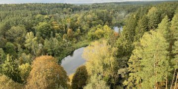 Valstybinės miškų tarnybos nuotr.